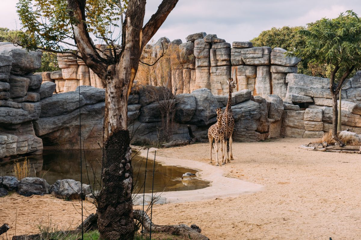 Budapest Zoo and Botanical Garden